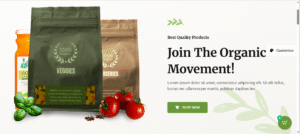 E-commerce Website Design